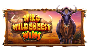 WILD-WILDEBEEST-WINS_339x180.png
